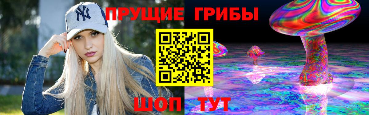 Псилоцибиновые грибы Psilocybe Брянск