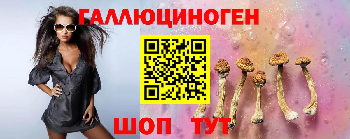 Брянск  Галлюциногенные грибы Psilocybine cubensis  Вход с VPN 